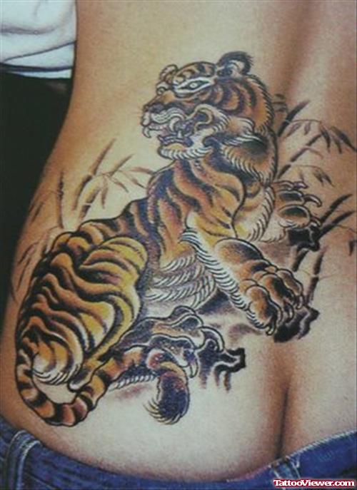 Awful Color Ink Tiger Tattoo On Back