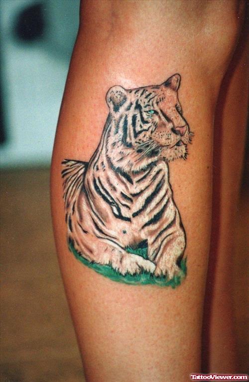 Awesome Tiger Tattoo On Right Leg