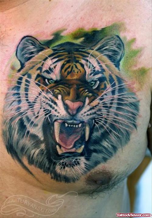 Awesome Color Ink Tiger Head Tattoo On Man Chest