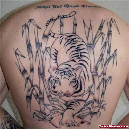 Amazing Grey Ink Tiger Tattoo On Back Body
