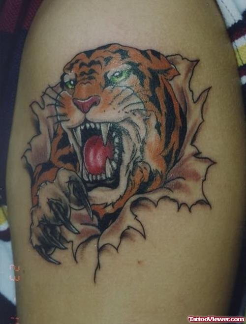 Ripped Skin Tiger Tattoo On Bicep