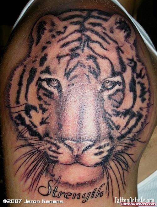 Grey Ink Tiger Tattoo On Man Right Shoulder
