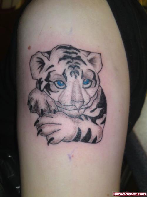 Grey Ink Baby Tiger Tattoo On Left Bicep