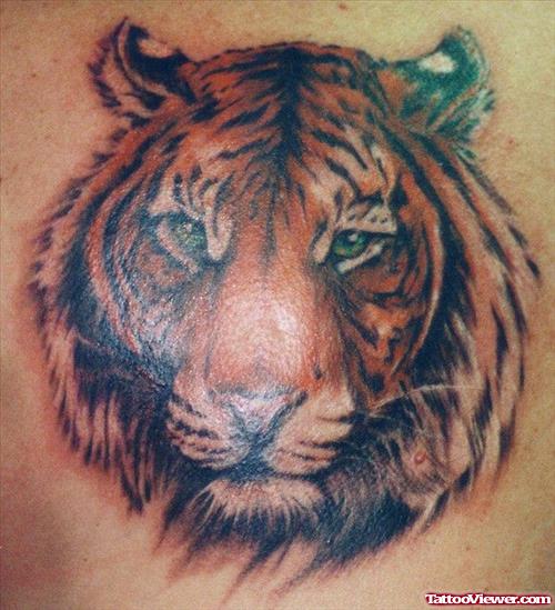 Cool Grey Ink Tiger Head Tattoo