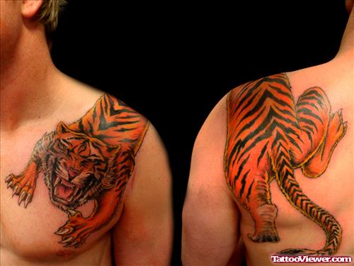 Color Ink Tiger Tattoo On Man Left Shoulder