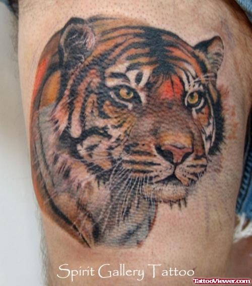 Color Ink Tiger Head Tattoo