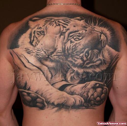 Awesome Grey Ink Tiger Tattoo On Man Back Body