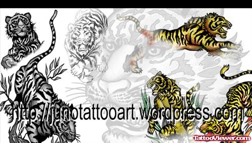 Awesome Colored Tiger Tattoos