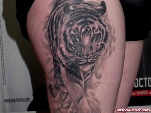 Amazing Grey Ink Tiger Tattoo On Right Thigh