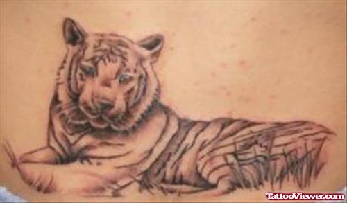 Amazing Grey Ink Tiger Tattoo On Lowerback