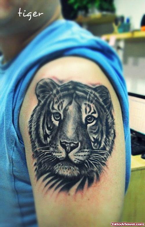 Grey Ink Tiger Head  Tattoo On Left Shoulder