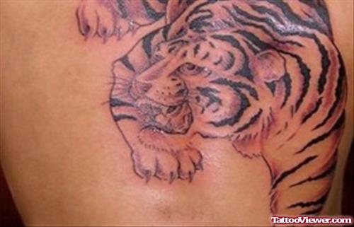 Cool Grey Ink Tiger Tattoo On Back Body