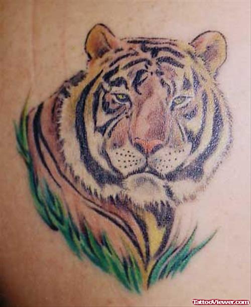 Cool Color Ink Tiger Tattoo