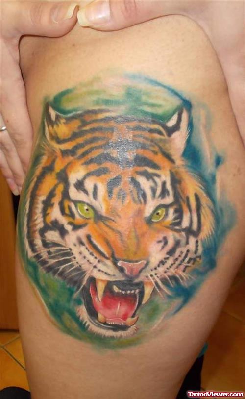 Cool Color Ink Tiger Head Tattoo