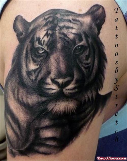 Awesome Grey Ink Tiger Tattoo On Left Shoulder
