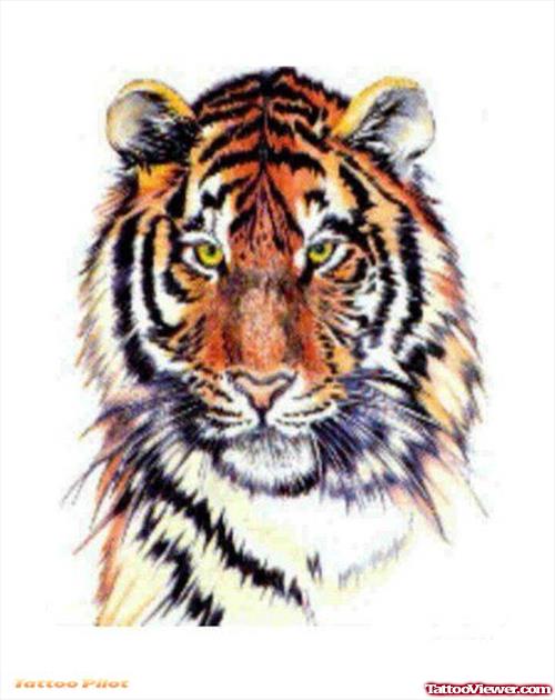 New Color Ink Tiger Head Tattoo Design
