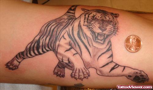Grey Ink Running Tiger Tattoo On Bicep
