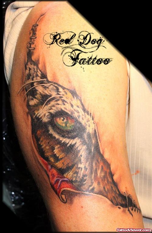 Beautiful Ripped Skin Tiger Tattoo On Bicep