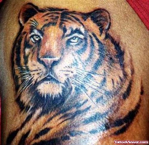 Grey Ink Tiger Tattoo On Left Shoulder