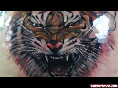 Cute Color Ink Tiger Head Tattoo