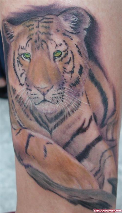 Cool Tiger Tattoo On Sleeve