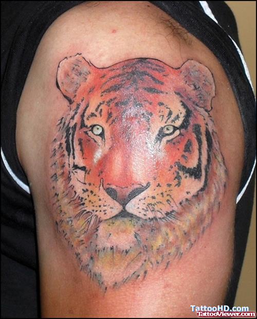 Color Tiger Head Tattoo On Shoulder