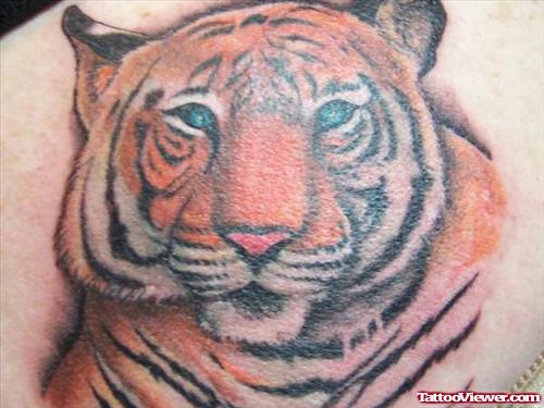 Color Ink Tiger Head Tattoo On Back