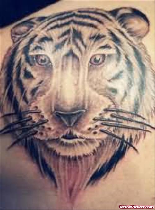 Awesome Grey Ink Tiger Head Tattoo On Back Shoulder