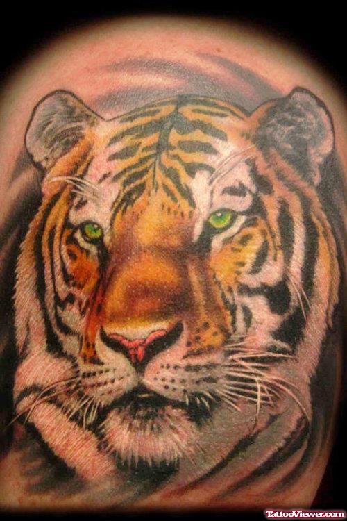 Nice Color Ink Tiger Head Tattoo