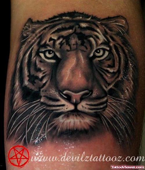 Cute Grey Ink Tiger Head Tattoo