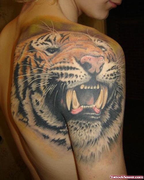 Crazy Grey Ink Tiger Head Tattoo On Right Shoulder