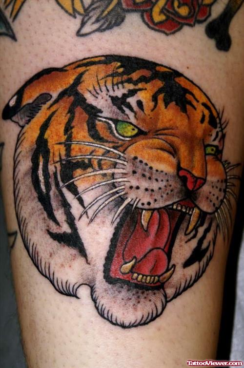 Cool Angry Tiger Head Tattoo On Shoulder
