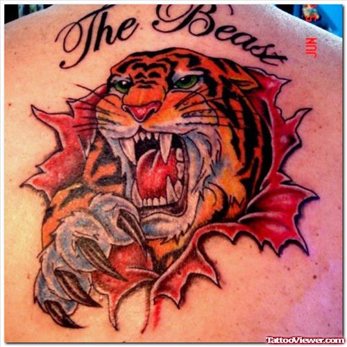 Color Roaring Tiger Tattoo On Back