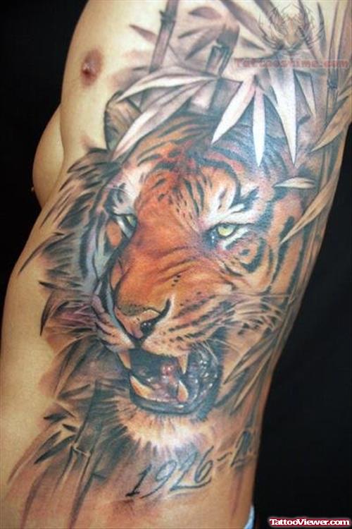 Awesome Color Tiger Tattoo On Rib Side For Men