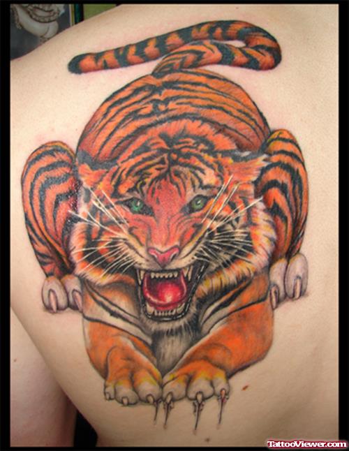 Angry Colored Tiger Tattoo On Back Shoulder