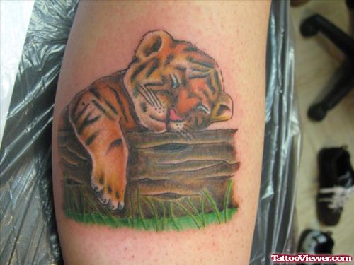 Sleeping Baby Tiger Tattoo On Bicep