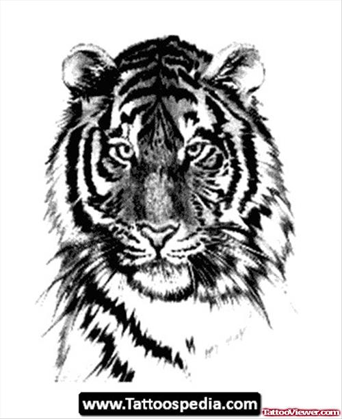 Amazing Grey Ink Tiger Head Tattoo Design
