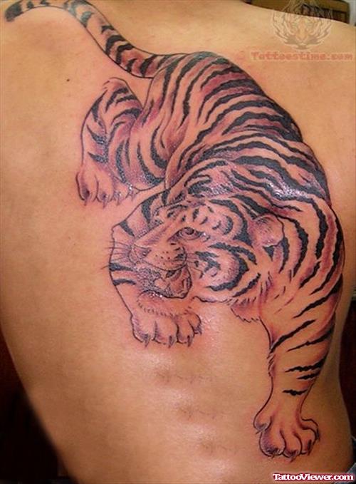 Big Tiger Tattoo On Back