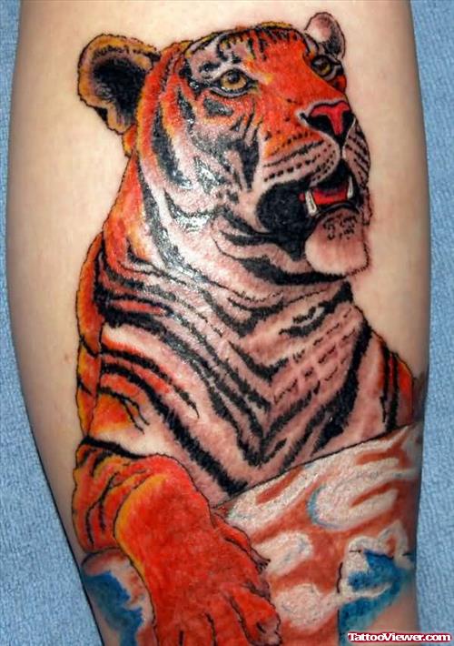 Tiger Tattoos Colourful Tattoo