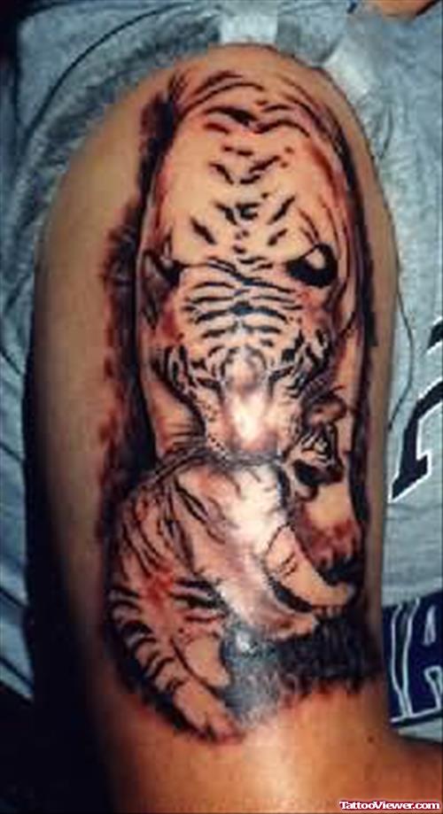Wonderful Tiger Tattoo On Shoulder