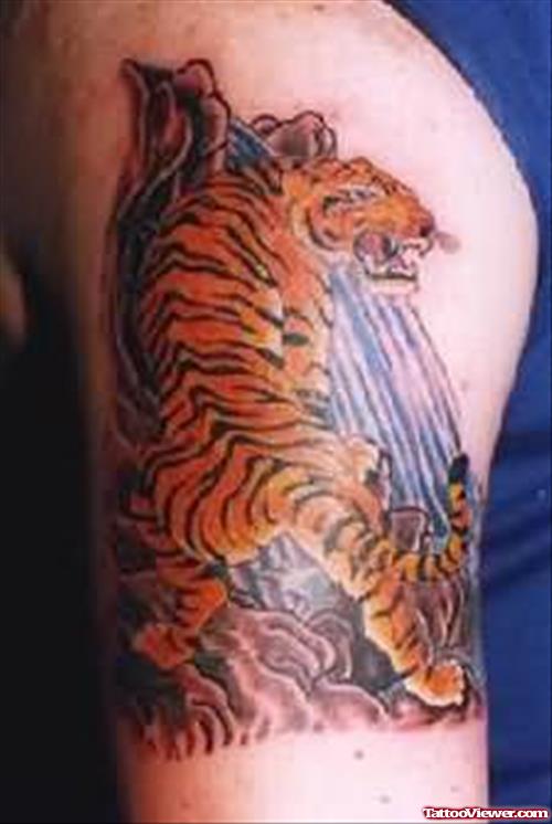 Time To Bath - Tiger Tattoo