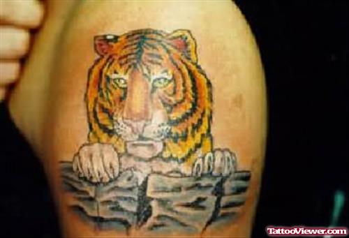Tiger Tattoo On Left Biceps