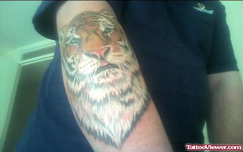 Tiger Head Tattoo On Muscles