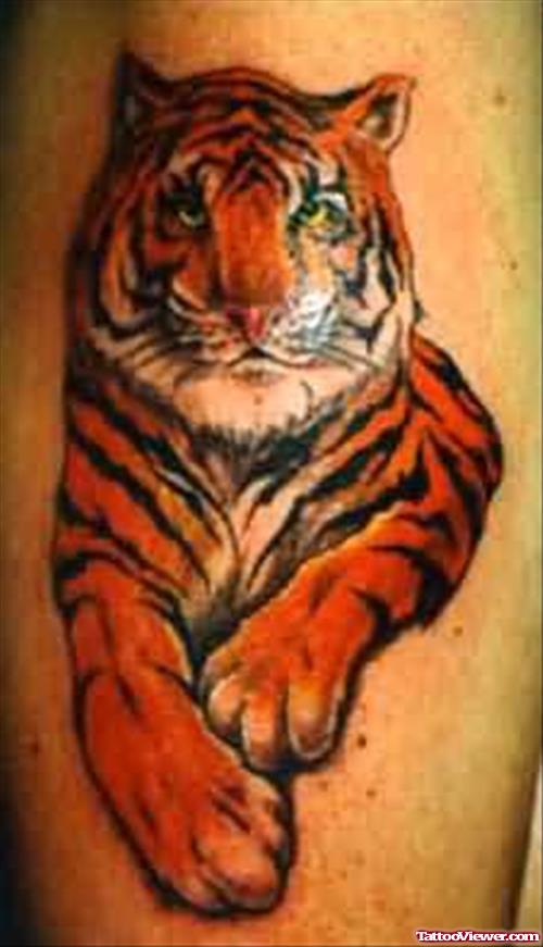 Red Tiger Sitting Tattoo