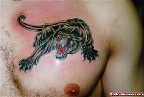 Man Showing Tiger Tattoo On Chest