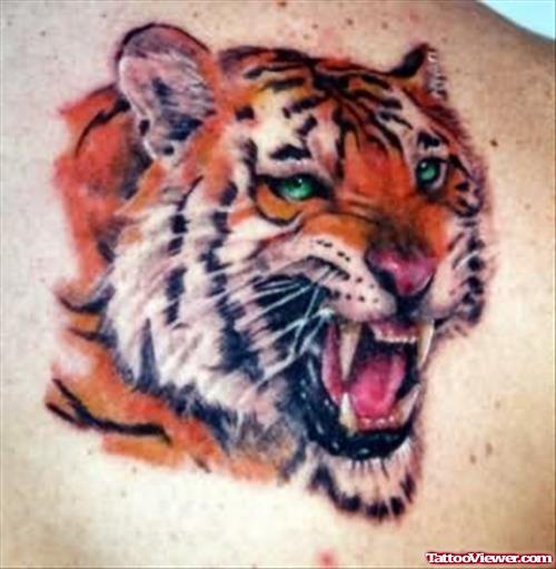 Green Eyes Angry Tiger Tattoo