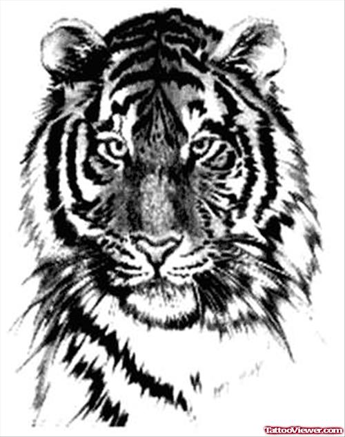 Black Shading Tiger Tattoo