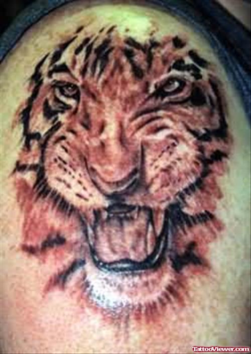 Beautiful Tiger Face Tattoo