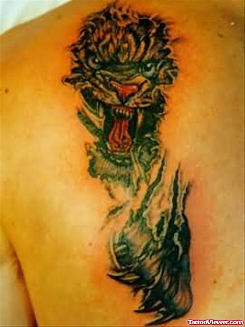 Angry Tiger Tattoo On Back Body