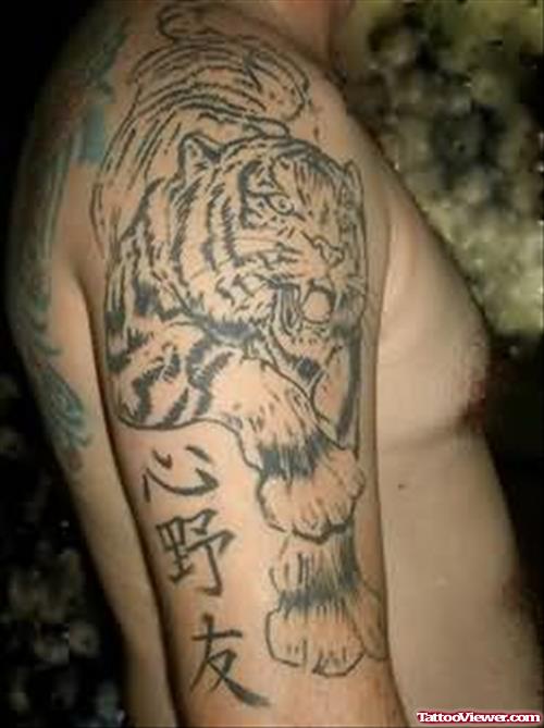Tiger Tattoo Design On Bicep